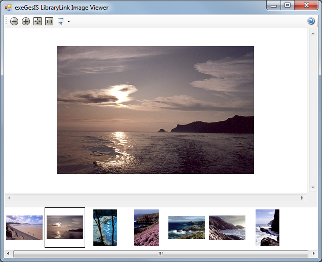LibraryLink document and image management software viewer