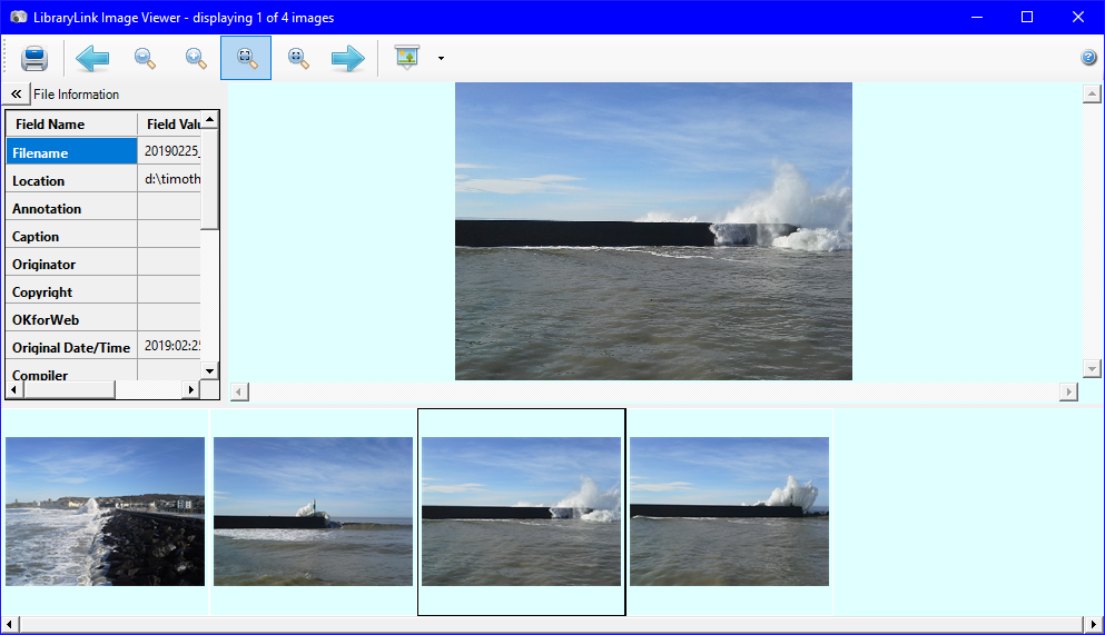 LibraryLink Image Viewer with multiple images